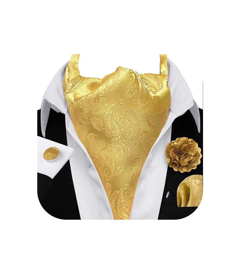 9194 Ascot Tie Cravat Paisley Gold Scarf Self Ties Pocket Square Cufflinks